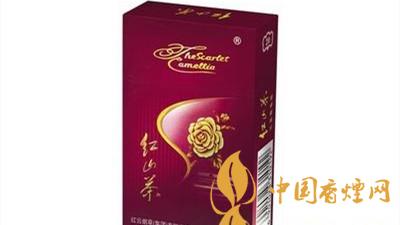 紅山茶紫市值多少錢？紅山茶紫口味如何？