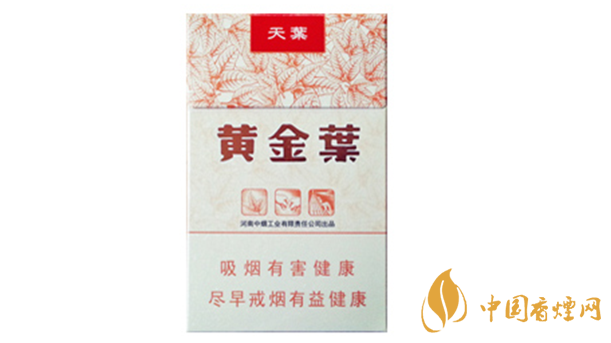 黃金葉天葉真?zhèn)卧趺幢鎰e？天葉真假如何看？