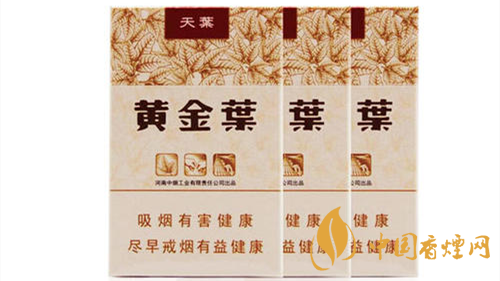 2020黃金葉天葉怎么樣？黃金葉大小天葉有什么不同