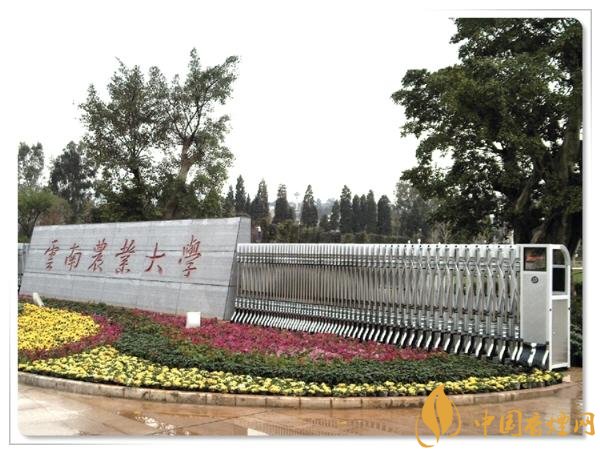 煙草專業(yè)大學排名，煙草專業(yè)就業(yè)前景好