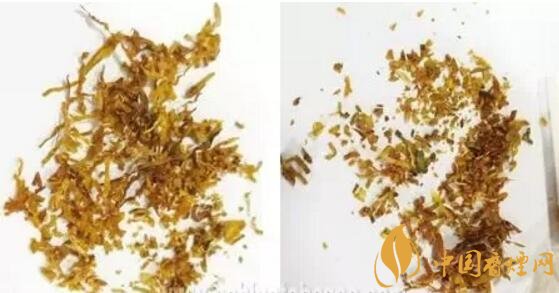 冬蟲夏草（和潤）真假鑒別，春節(jié)防止被騙