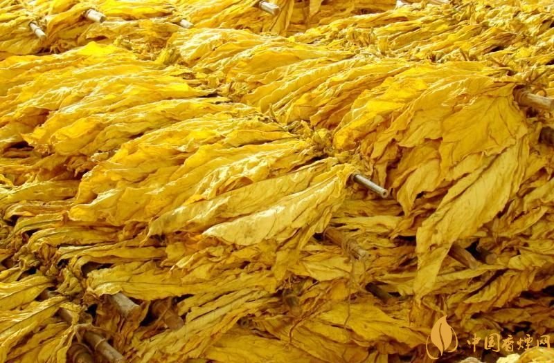 朱砂煙到底是什么煙，云煙朱砂煙有哪幾款